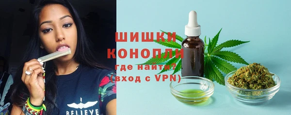 дживик Михайловск
