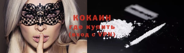 дживик Михайловск